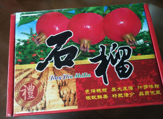 服務(wù)至上，合作長(zhǎng)久 